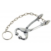 Pliers to lead cow ( had chain)